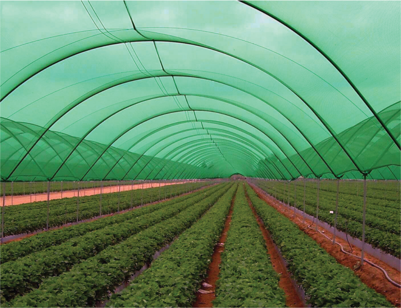 Shade Nets for Greenhouses & Gardens in Dubai