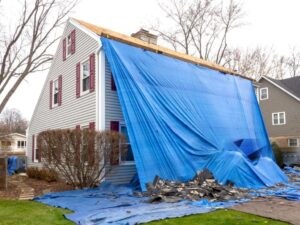 How to Choose the Right Tarpaulin: Complete Buyer’s Guide